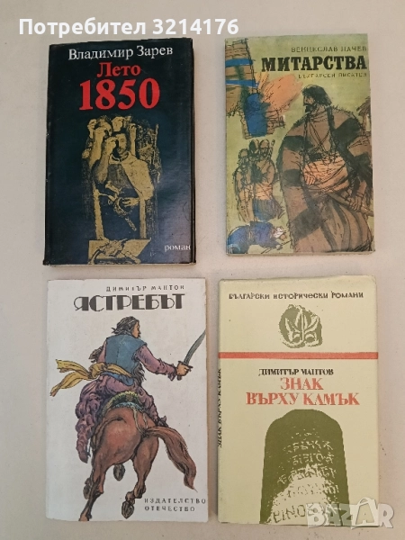 Митарства - Венцеслав Начев, снимка 1