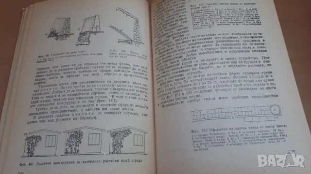 Дворна Градина - М. Ников, М. Алипиева, В. Ангелов, Л. Христов, снимка 9 - Специализирана литература - 47053873