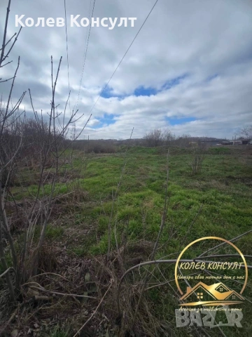 Парцел Град Димитровград ,срещу Пожарната, снимка 2 - Парцели - 53837996