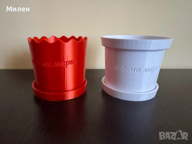 Саксия с текст