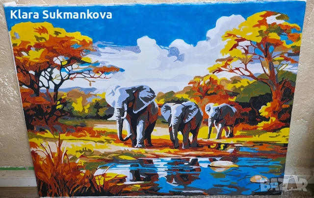 Картина рисувана по номера Слонове 