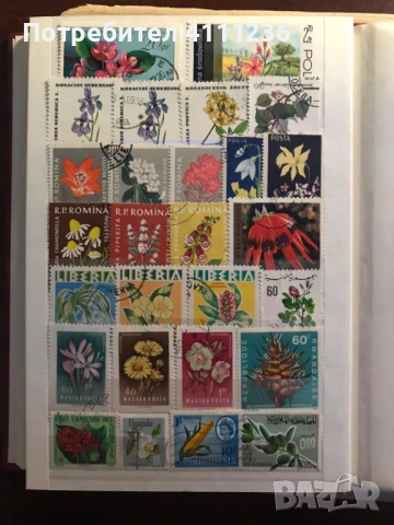 Класьор с марки на тема "Цветя", снимка 13 - Филателия - 53611717