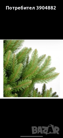 Коледна елха Див смърч 220см, снимка 6 - Други стоки за дома - 52450325