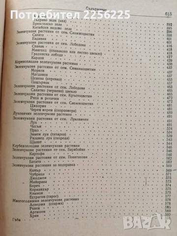 Зеленчукопроизводство, снимка 7 - Специализирана литература - 54087331