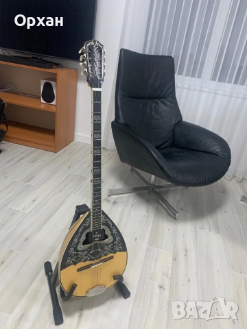 Професионално гръцко бузуки (тетрахордо) с адаптер TAP + Твърд куфар, снимка 2 - Друга електроника - 53916002