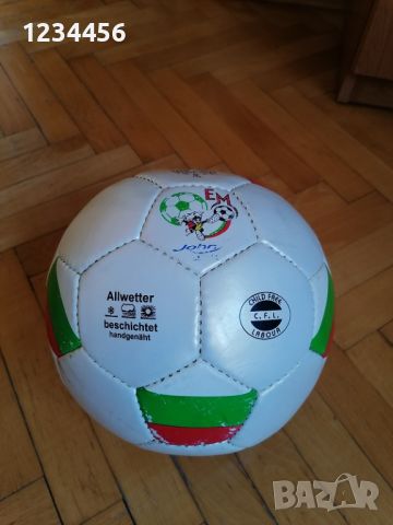Кожена топка от Европейското по футбол в Германия, снимка 1 - Футбол - 46464047