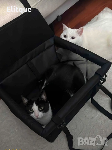 Седалка за куче за кола PETLIFE