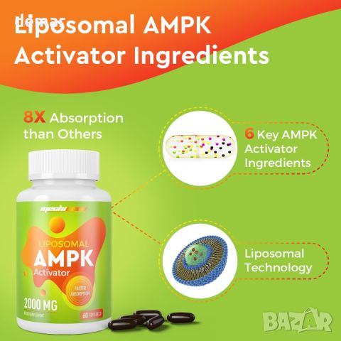 Липозомна AMPK активираща добавка 2000 mg, 6-в-1, 60 капсули, снимка 5 - Хранителни добавки - 45543725