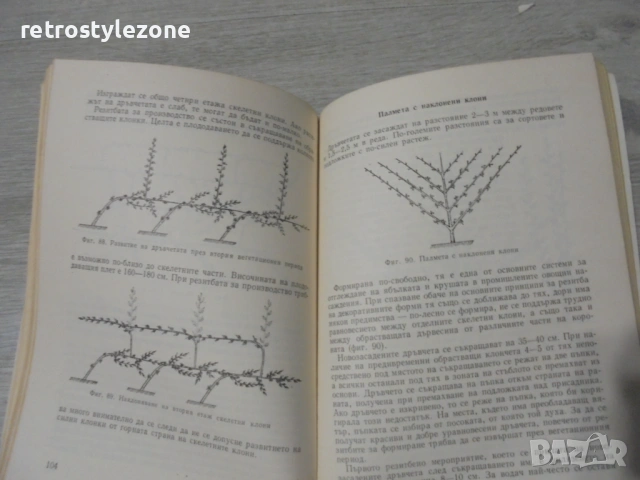 № 8451 Стара книга "Декоративно овощарство"  автор -Иван Желев  , снимка 4 - Специализирана литература - 53137855