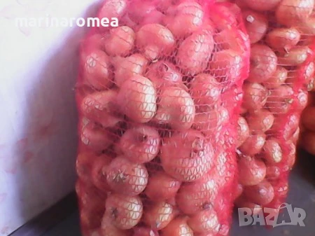 Гаци за лук (чували за лук), снимка 2 - Селскостопанска техника - 50633076