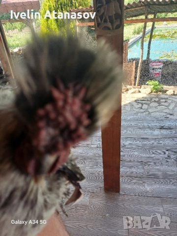 Двойка копринки., снимка 6 - други­ - 51798577