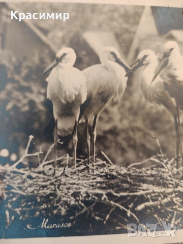 Ретро пощенска Картичка , снимка 3 - Филателия - 53475018