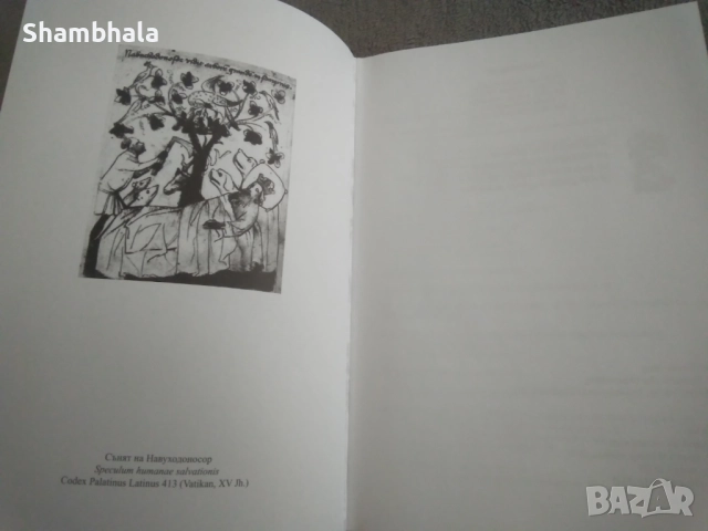  Динамика на несъзнаваното К. Г. Юнг, снимка 5 - Специализирана литература - 51911320