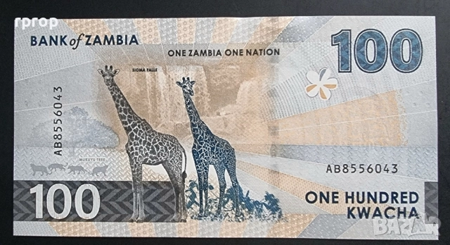 Замбия .10 , 20, 50 и 100 квача. 2024 год. Най новата серия. UNC., снимка 5 - Нумизматика и бонистика - 50056376