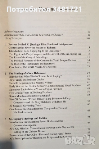 Chinese Politics in the Era of Xi Jinping, снимка 2 - Художествена литература - 53519332