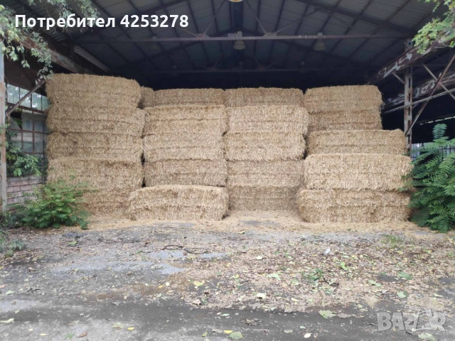 Продавам Бали Люцерна !, снимка 8 - За селскостопански - 52836781