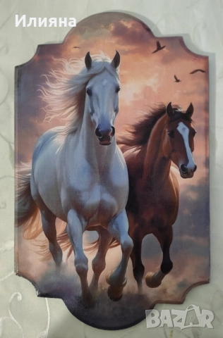 ПАНА, снимка 5 - Пана - 52078211