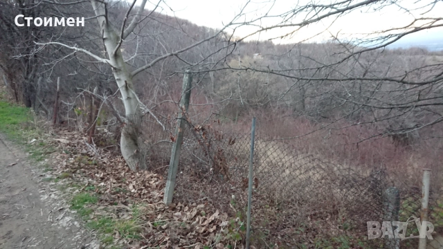 Парцел с. Цар Калоян , снимка 2 - Земеделска земя - 49153159