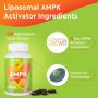 Липозомна AMPK активираща добавка 2000 mg, 6-в-1, 60 капсули, снимка 5