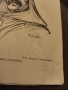 Антикварна.Цар Калояъ 1937 г., снимка 5