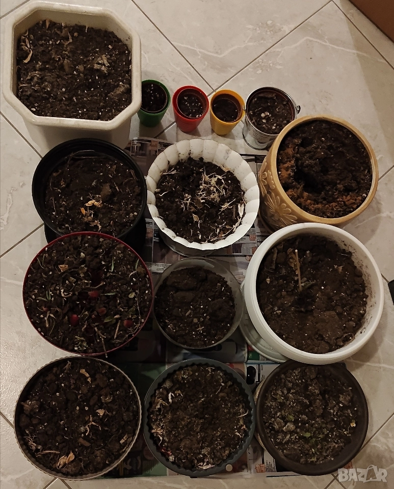 10 Саксии 25Евро плюс 4 малки бонус, снимка 1