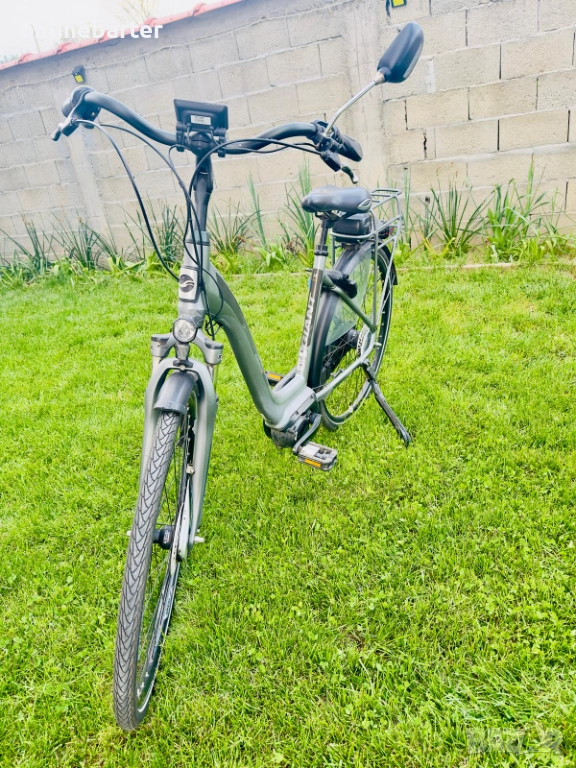 GIANT-хибрид-четете описанието, снимка 1