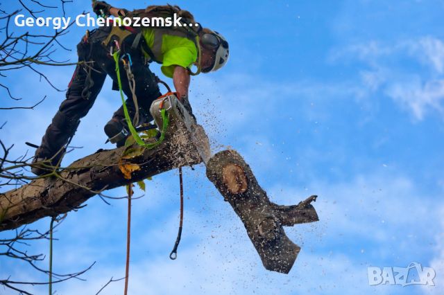Рязане, отсичане, премахване, на опасни дървета и клони в гр. Пловдив, снимка 5 - Други - 45507322