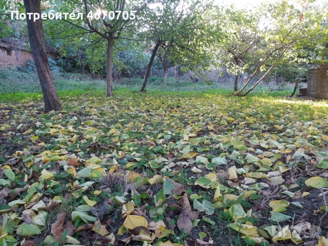 Дава под Наем КЪЩА 200 € / месец, снимка 6 - Къщи - 52676706