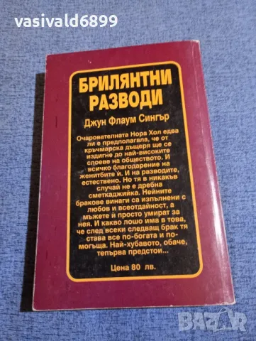 Джун Флаум Сингър - Брилянтни разводи , снимка 3 - Художествена литература - 48262389