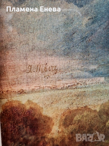 Портрет на Мис Джулиана Уилоуби, репродукция, снимка 9 - Картини - 53967103