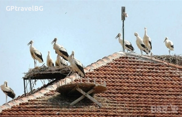 Фестивал на Белия Щъркел в с.Белозем и Чирпан