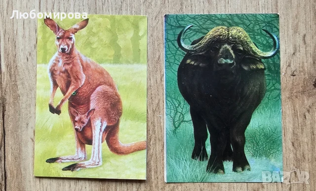 Ретро календарчета със животни/ За колекционери, снимка 2 - Колекции - 51417690