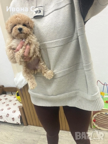 Малтипу, снимка 2 - Други - 53866676