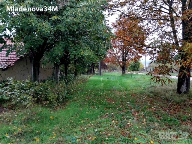 Имот с голям двор, снимка 14 - Къщи - 52255307