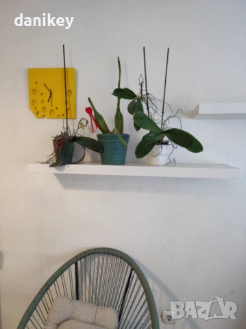 Пълен комплект мебели IKEA – Спешна разпродажба на символична цена! столове легло гардероб етажерки, снимка 6 - Други - 54225489