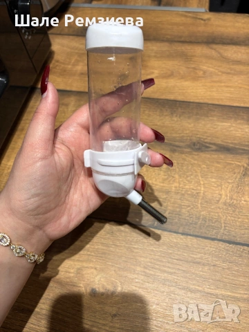 Всичко за хамстери, снимка 2 - Хамстери - 53649660