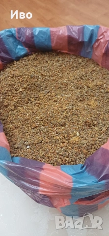 Прополис (пчелен клей)