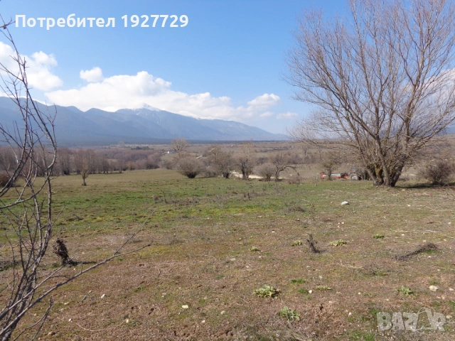 7 дка недвижим имот край град Банско, снимка 3 - Земеделска земя - 22046331