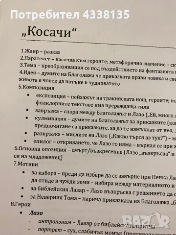 Материали за матури/ДЗИ по БЕЛ 11, 12 клас, снимка 3 - Ученически пособия, канцеларски материали - 48446549