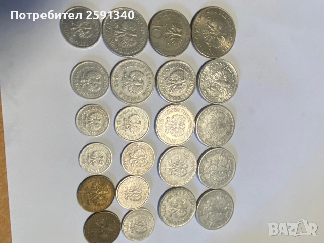 Полоски злоти монети лот, снимка 4 - Нумизматика и бонистика - 52106171