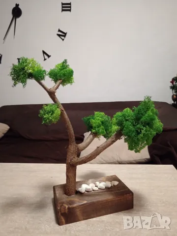 Бонсай от Скандинавски мъх , снимка 6 - Декорация за дома - 48915324