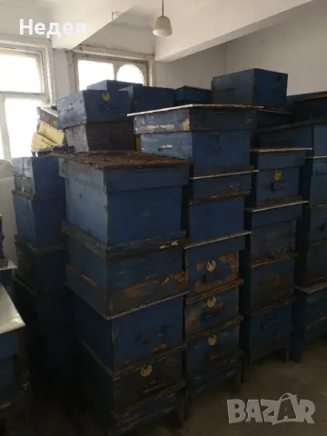 Продавам пчелни кошери, снимка 7 - Пчелни продукти - 50071516