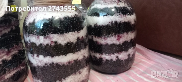 2025г. Сироп от черен бъз., снимка 3 - Домашни напитки - 36988082