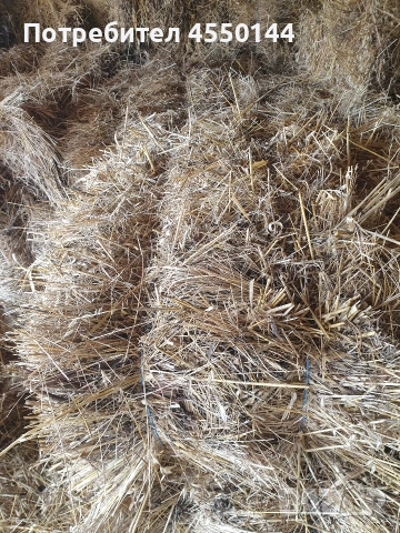 Бали сено 