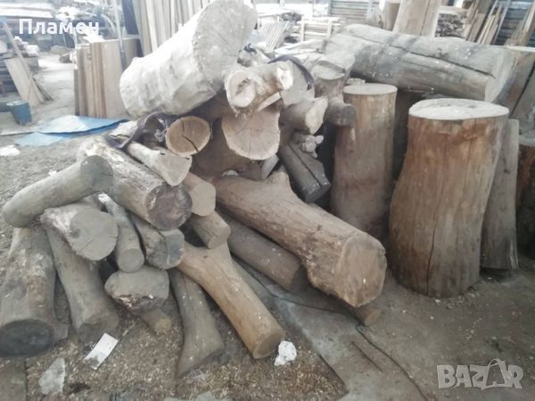 Дъбови и букови дънери продавам, дърва, 7 плътни кубика, снимка 1 - Столове - 46263085