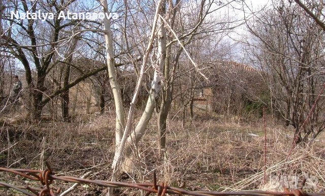 Къща за продажба в Сърнец, област Добрич, снимка 10 - Къщи - 53656508