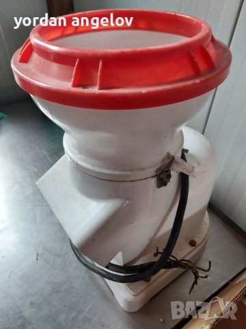 Зеленчуко белачка