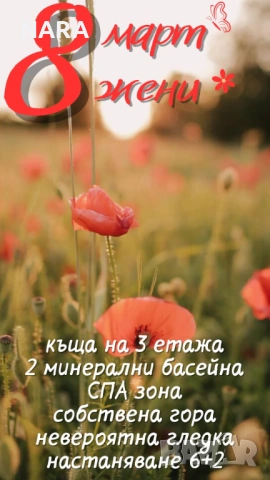 8ми март в СПА комплекс