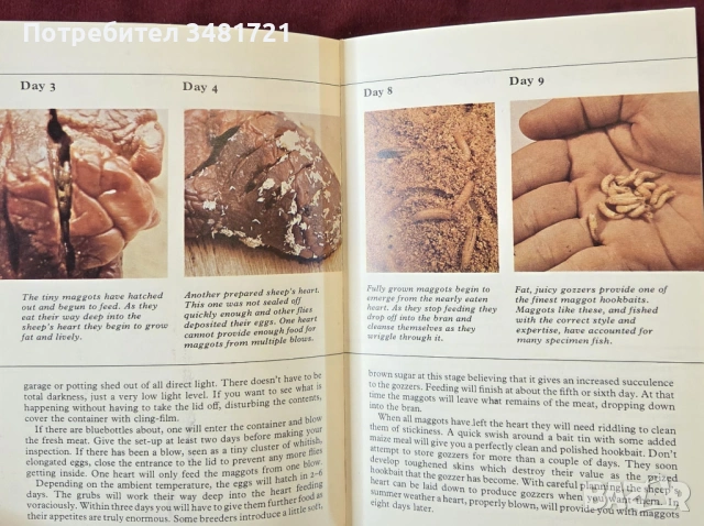 Справочник на рибарските стръв и примамки / Pocket Guide to Bait and Lures, снимка 6 - Енциклопедии, справочници - 53748362