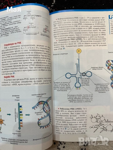 Учебници по биология за 11 клас, снимка 6 - Учебници, учебни тетрадки - 53446808